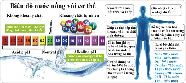 Vai trò của nước và độ pH của nước tới cơ thể người