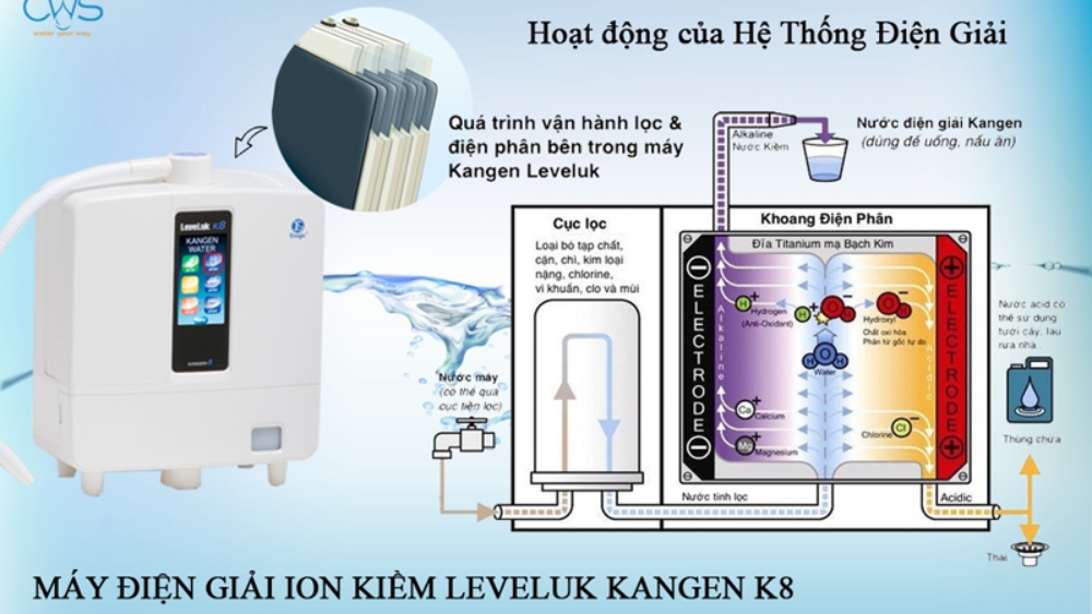 Sơ đồ minh họa hệ thống lọc chuẩn bên trong máy lọc nước Kangen K8